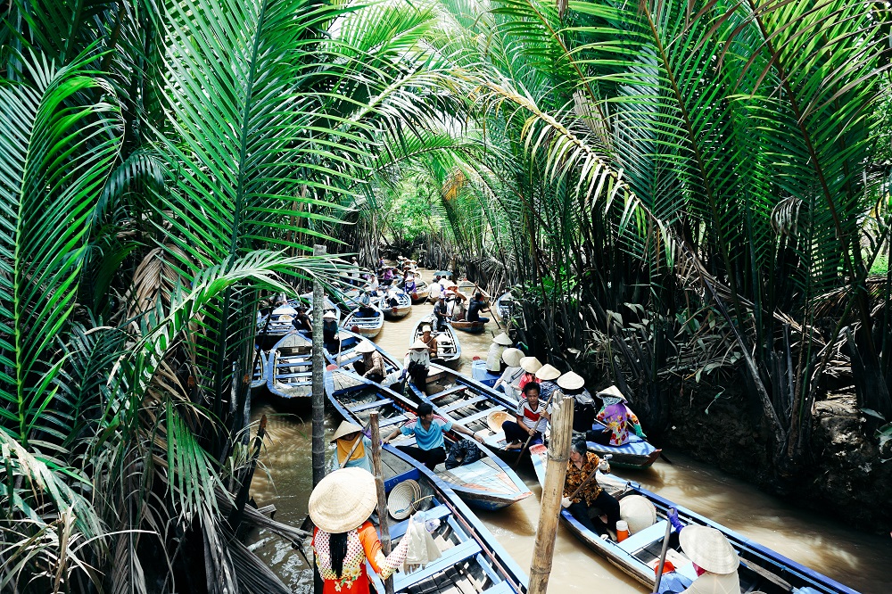 cá cược thể thao hul city